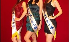 一吻成瘾动漫免费观看